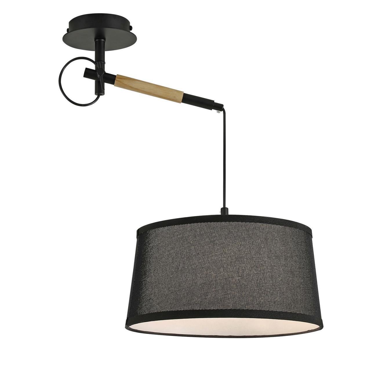 картинка Настенно-потолочный светильник Eureka 3006-1P от магазина pro-decor.kz