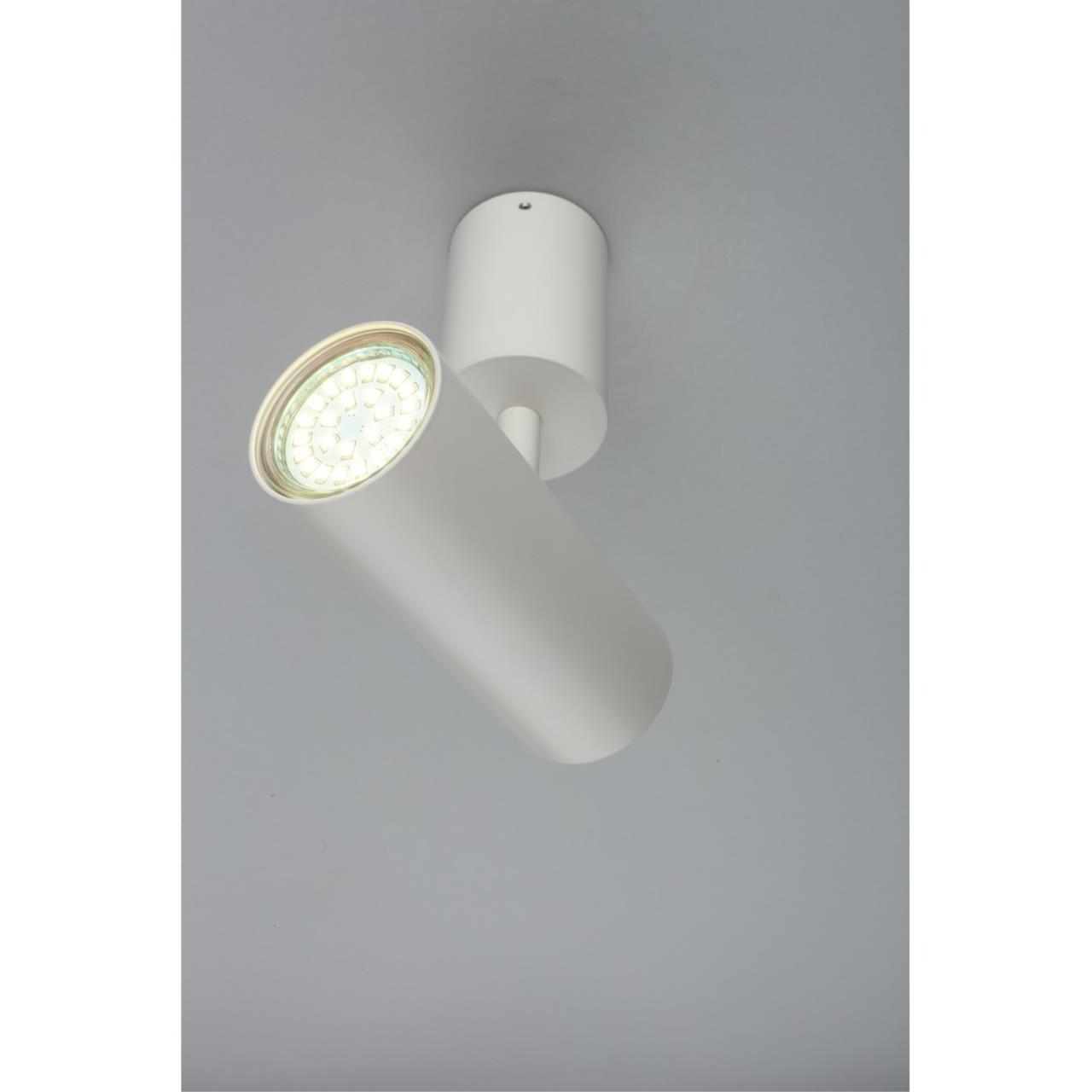 картинка Светодиодный спот Aployt Berenis APL.007.02.01 от магазина pro-decor.kz