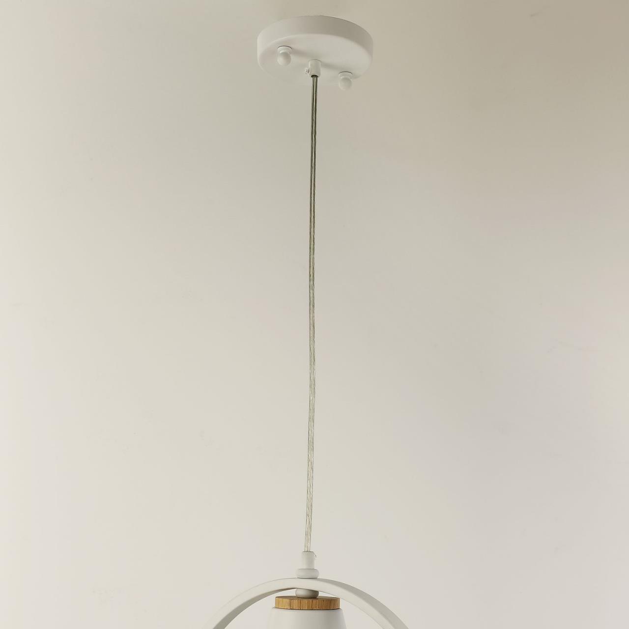 картинка Подвесной светильник F-Promo Uccello 2939-1P от магазина pro-decor.kz
