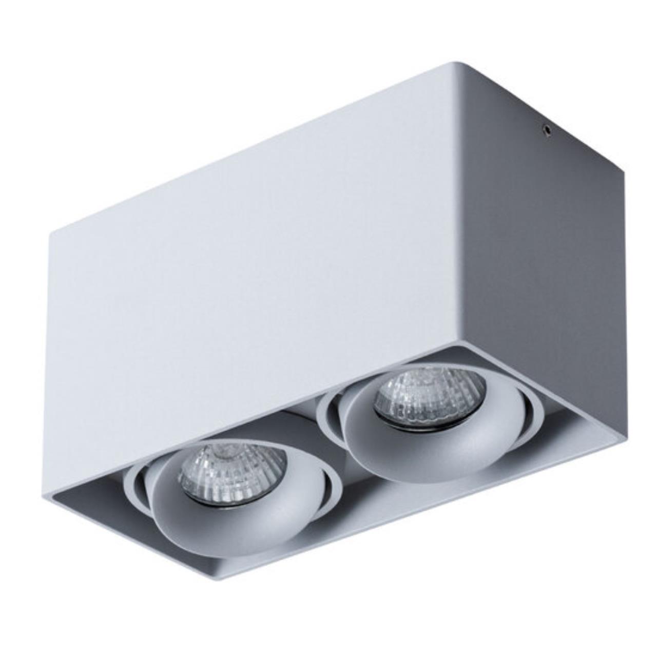картинка Потолочный светильник Arte Lamp Pictor A5654PL-2GY от магазина pro-decor.kz