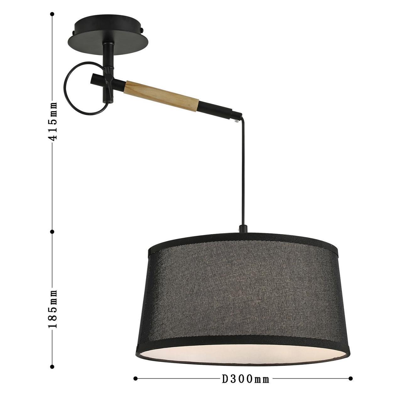 картинка Настенно-потолочный светильник Eureka 3006-1P от магазина pro-decor.kz