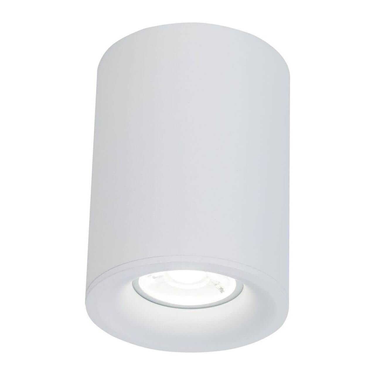 картинка Потолочный светильник Maytoni Alfa C012CL-01W от магазина pro-decor.kz