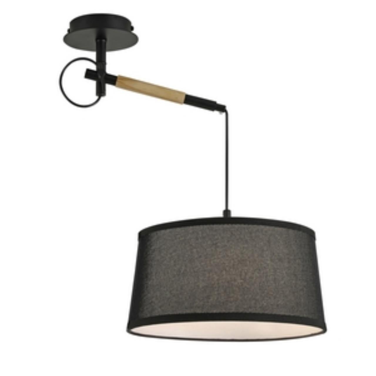 картинка Настенно-потолочный светильник Eureka 3006-1P от магазина pro-decor.kz