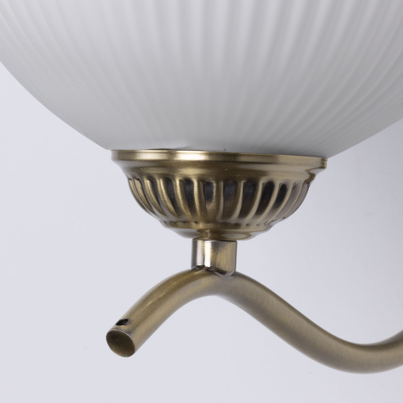 картинка 347029901 MW-light Фелиция Бра от магазина pro-decor.kz