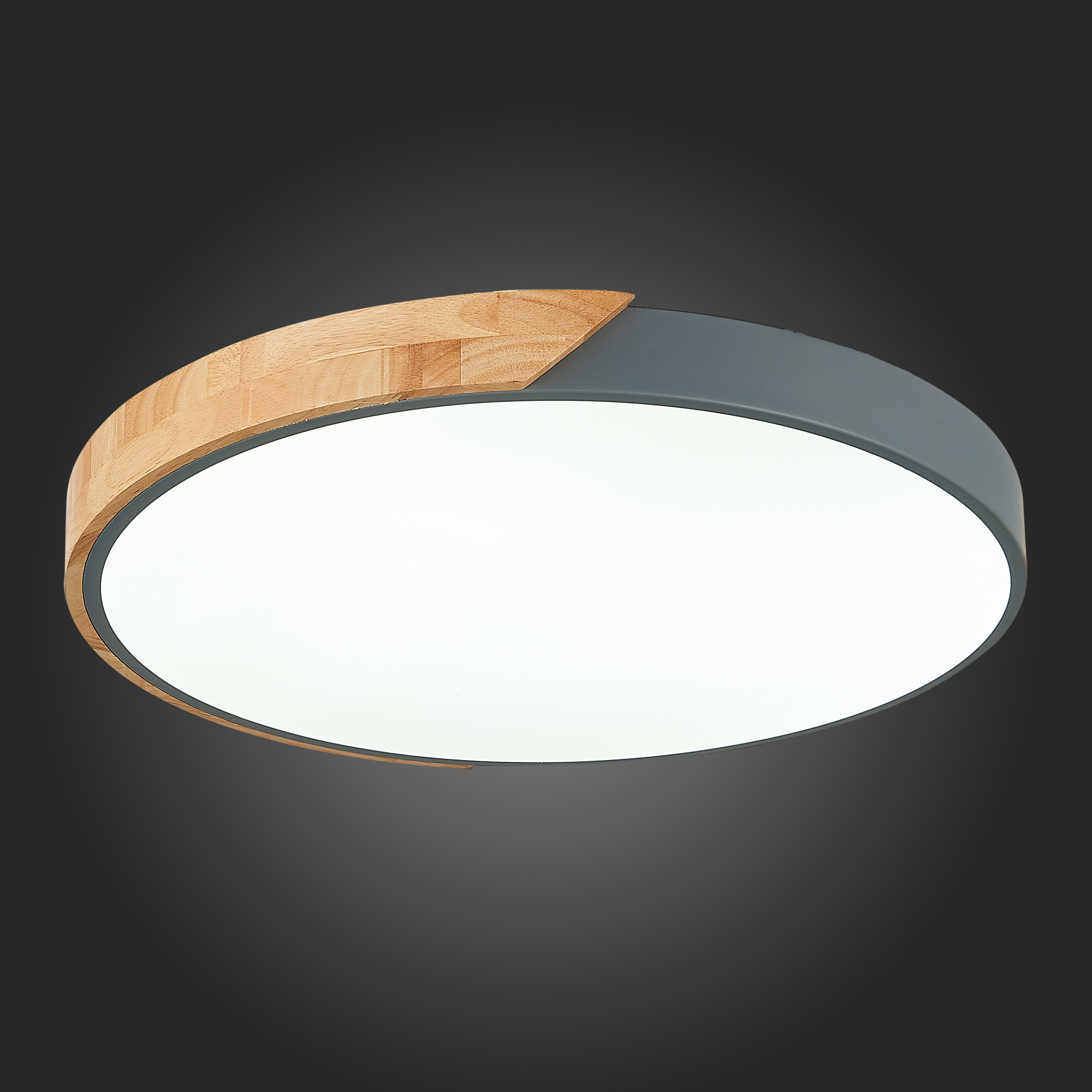 картинка Потолочный светодиодный светильник Evoluce Festa SLE200972-01 от магазина pro-decor.kz