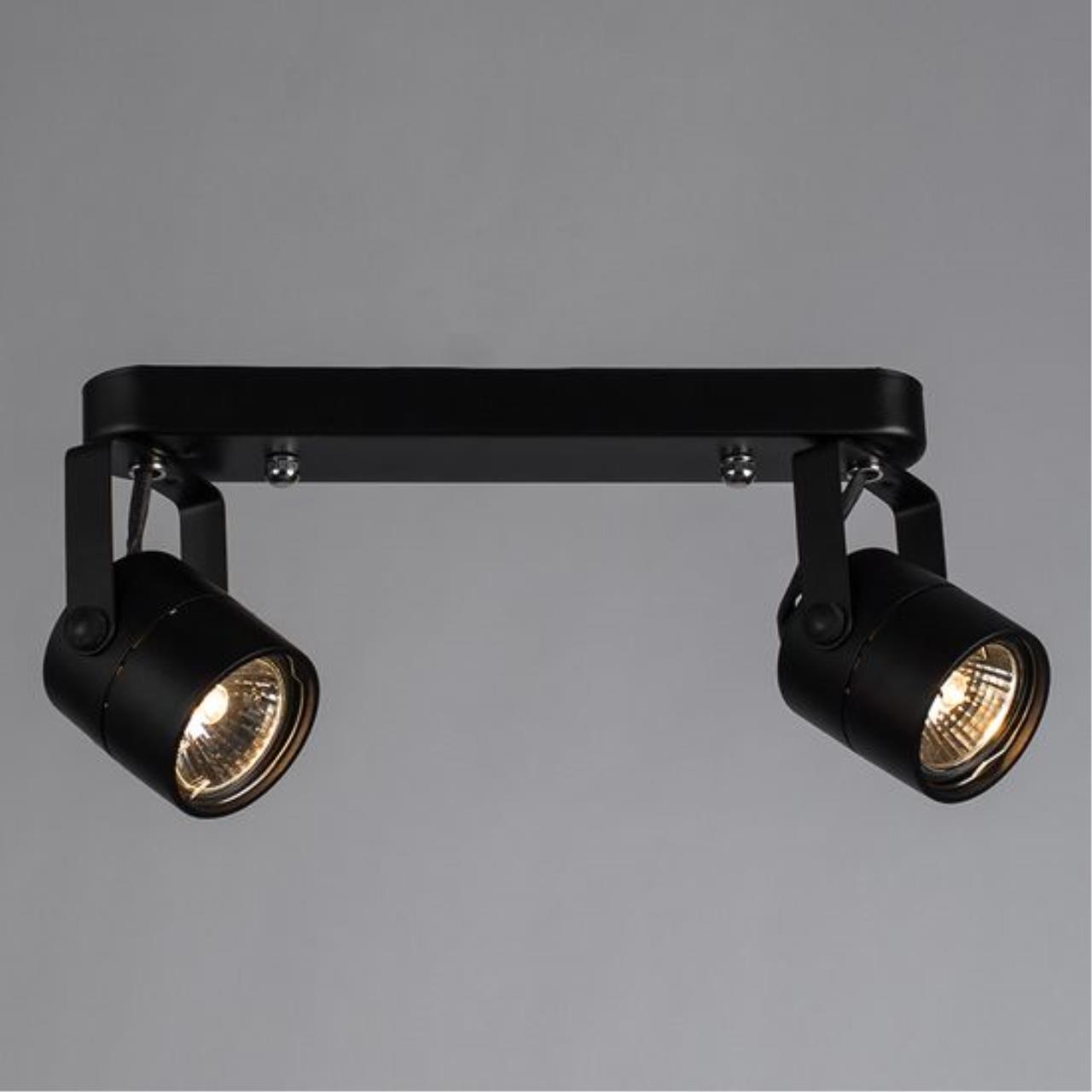 картинка Потолочный светильник Arte Lamp MIZAR A1311PL-2BK от магазина pro-decor.kz