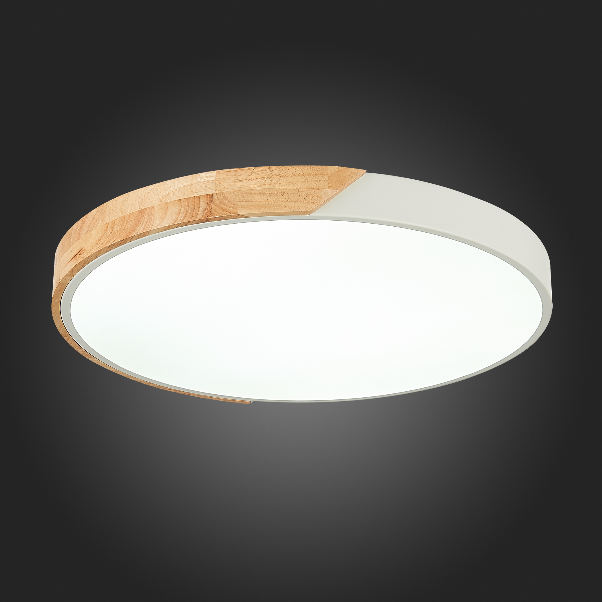 картинка Потолочный светодиодный светильник Evoluce Festa SLE200952-01 от магазина pro-decor.kz