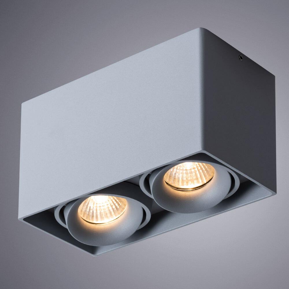 картинка Потолочный светильник Arte Lamp Pictor A5654PL-2GY от магазина pro-decor.kz