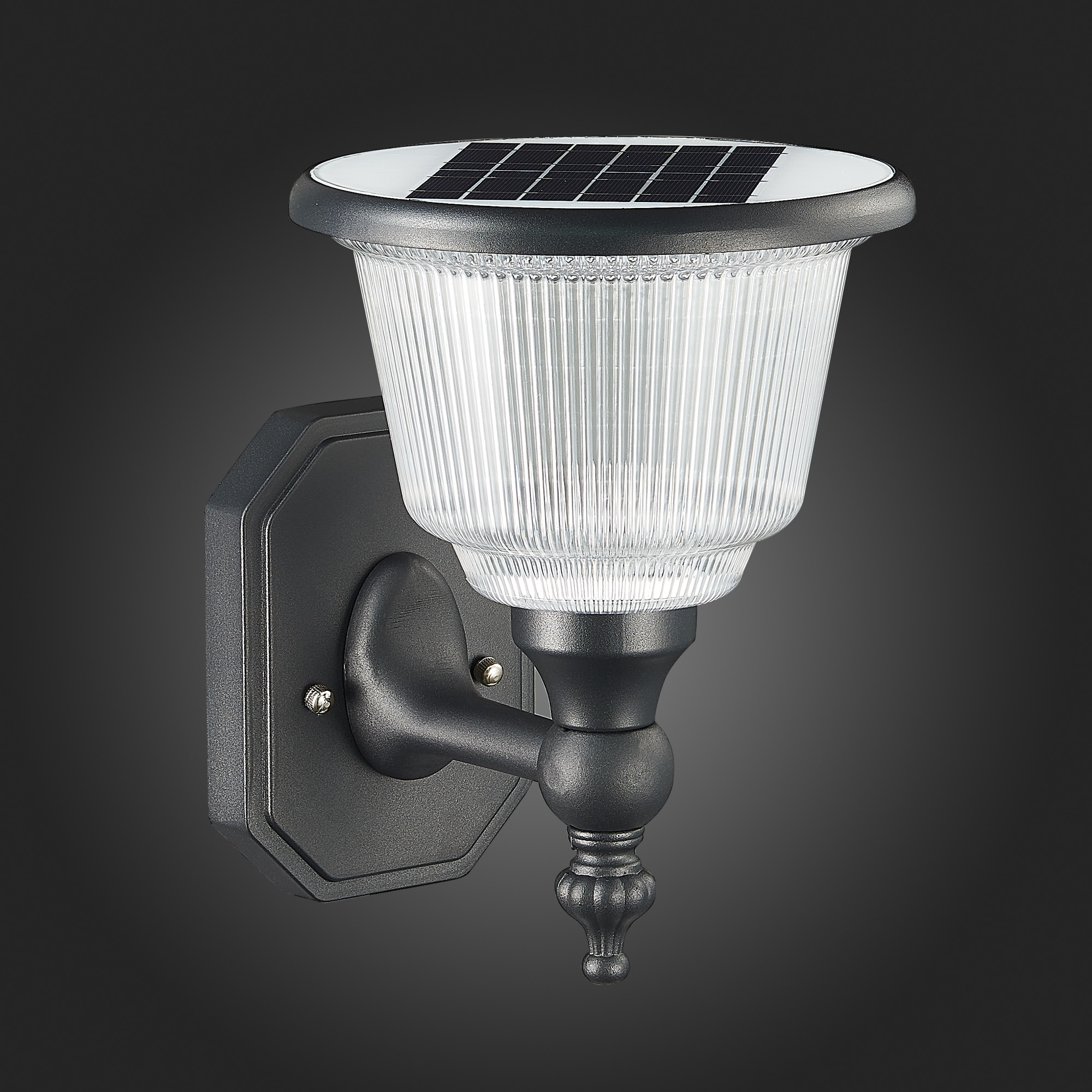 картинка Светильник на солнечных батареях ST Luce Solaris SL9502.401.01 от магазина pro-decor.kz