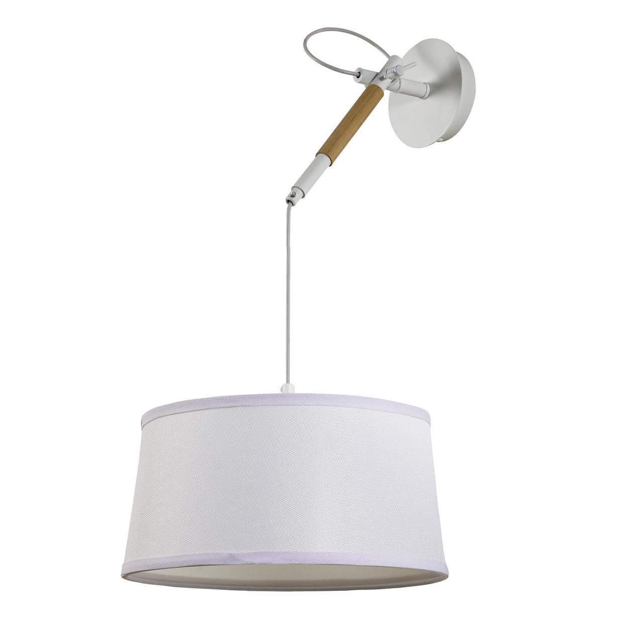картинка Настенно-потолочный светильник Eureka 3005-1P от магазина pro-decor.kz