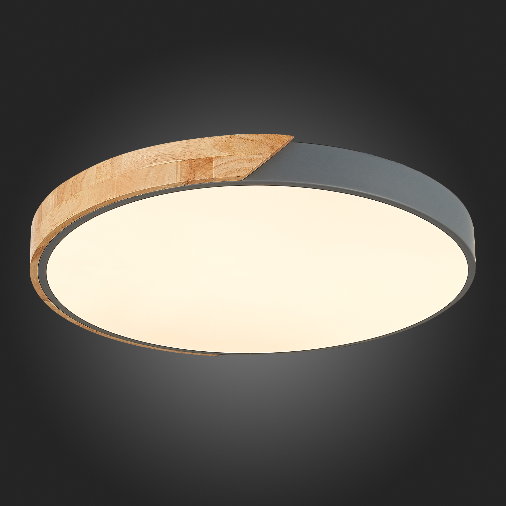 картинка Потолочный светодиодный светильник Evoluce Festa SLE200972-01 от магазина pro-decor.kz