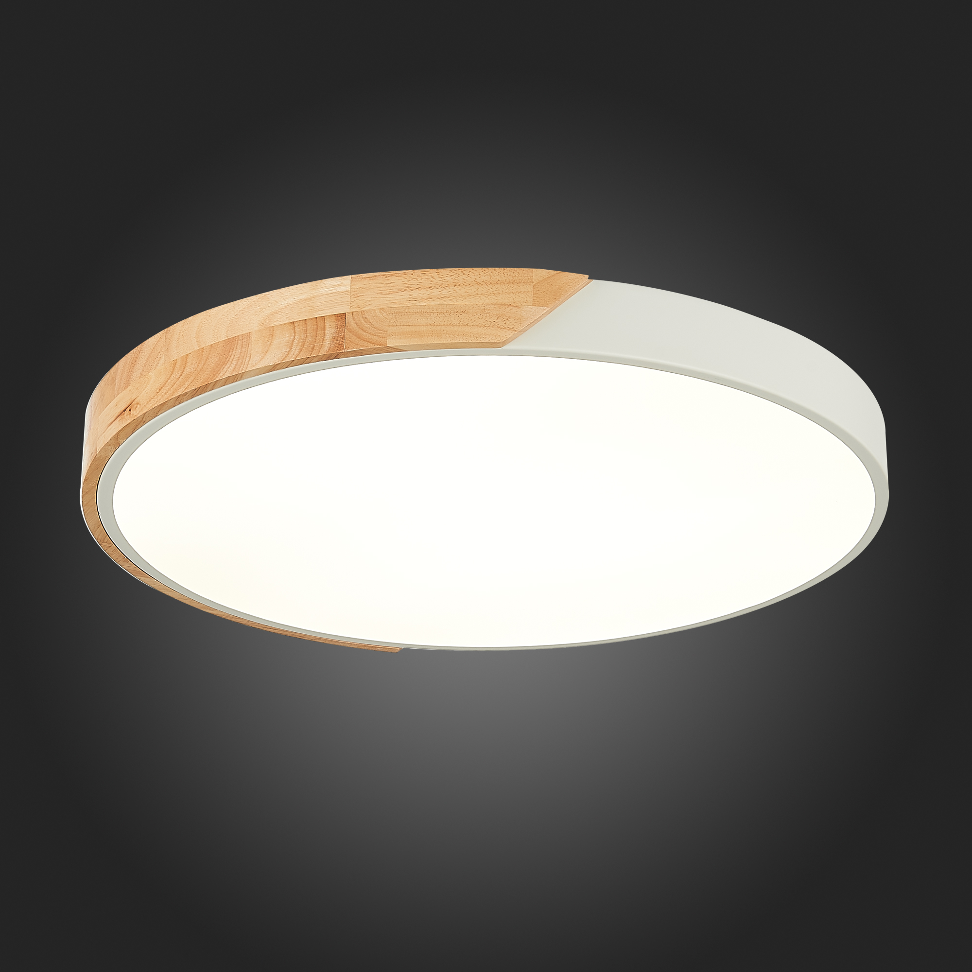 картинка Потолочный светодиодный светильник Evoluce Festa SLE200952-01 от магазина pro-decor.kz