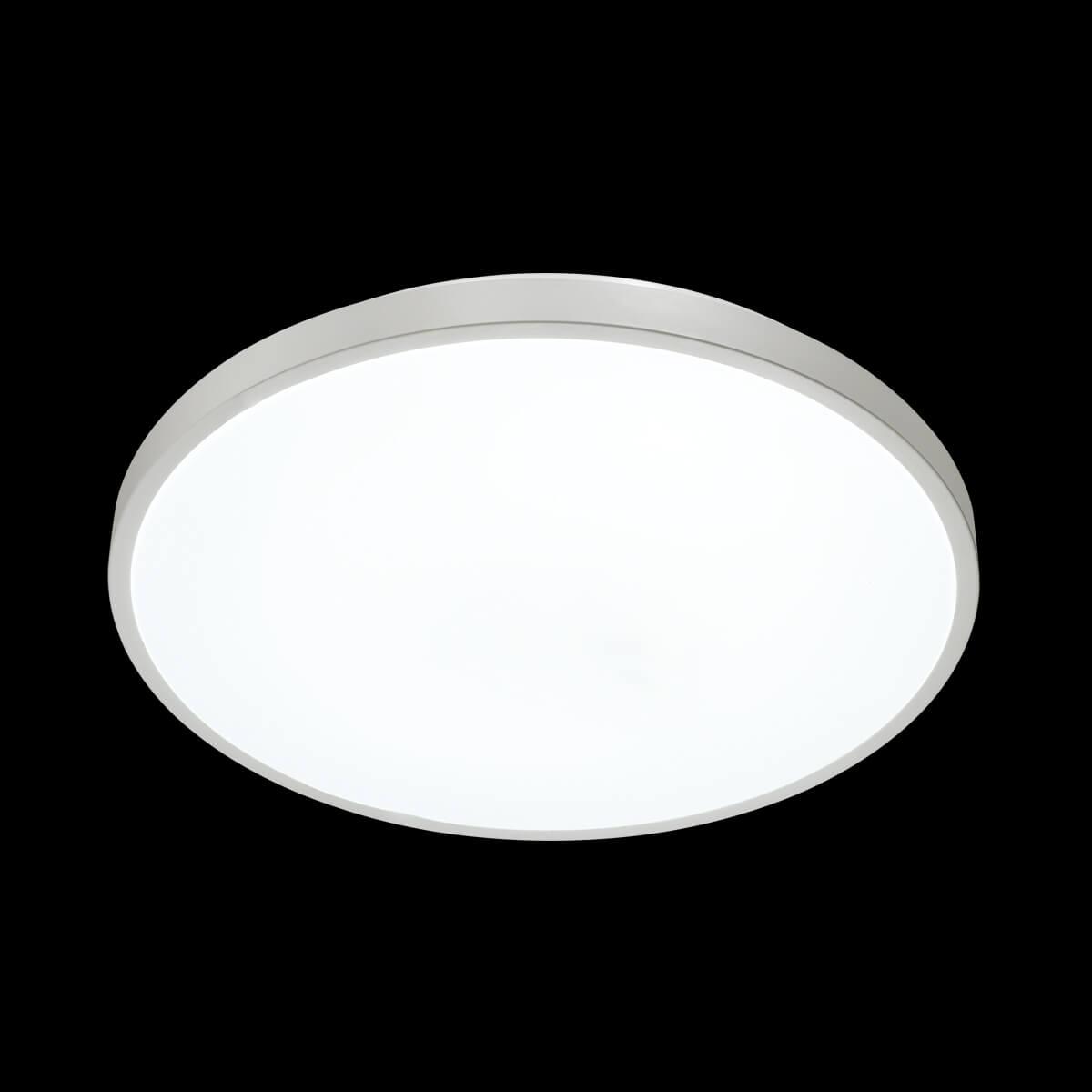 картинка Настенно-потолочный светильник Sonex Tan Smalli 3014/DL от магазина pro-decor.kz