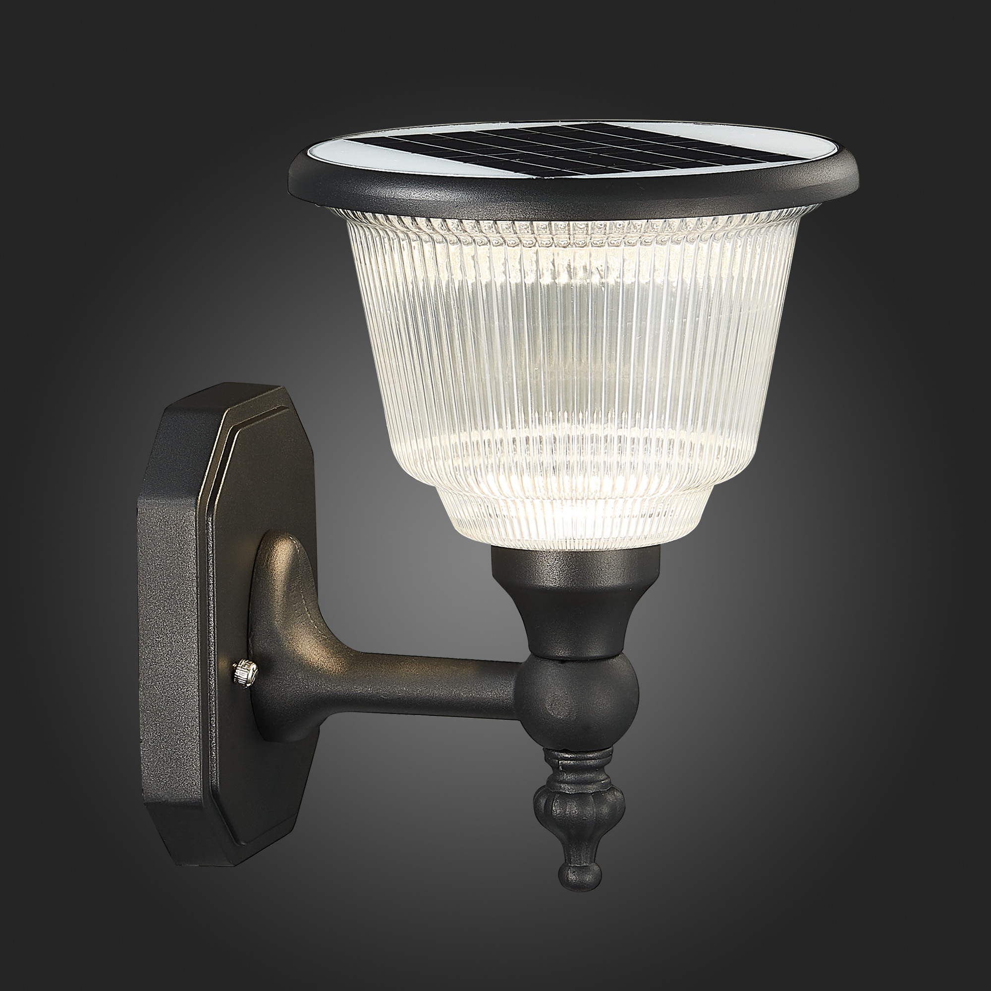 картинка Светильник на солнечных батареях ST Luce Solaris SL9502.401.01 от магазина pro-decor.kz
