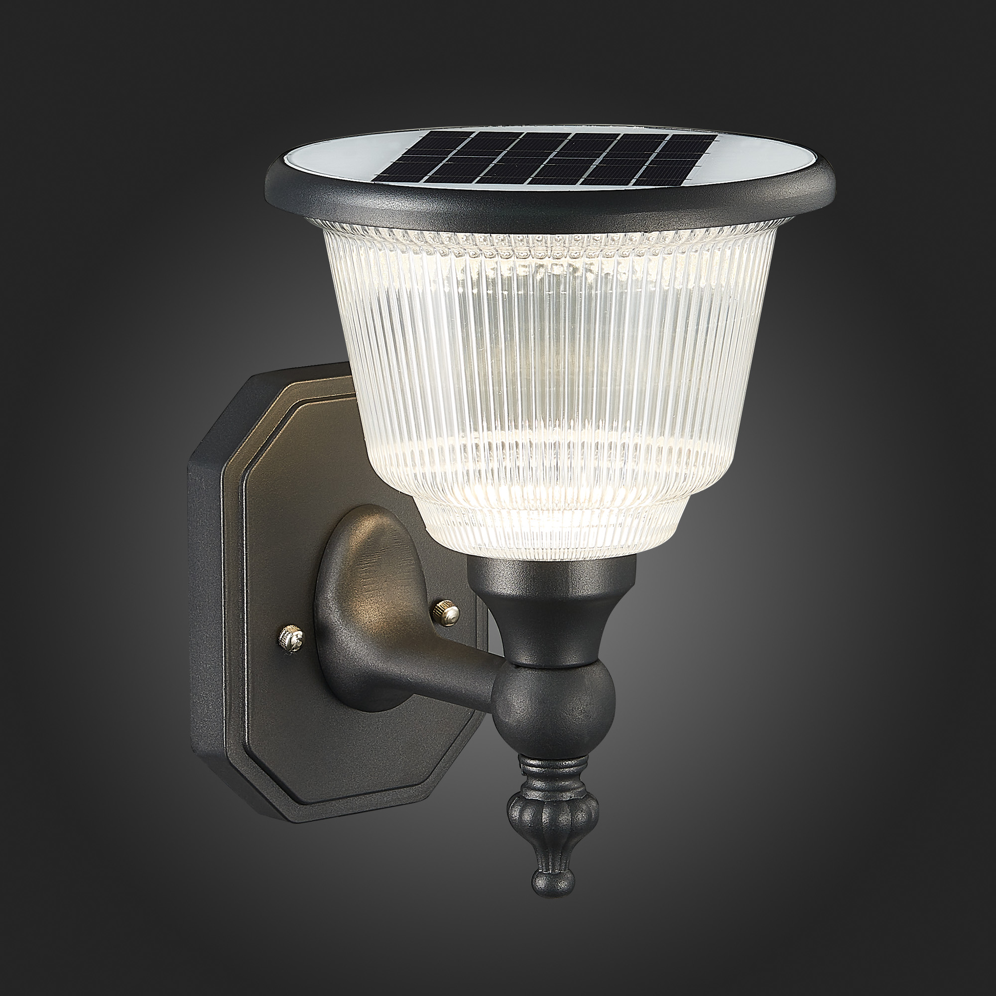 картинка Светильник на солнечных батареях ST Luce Solaris SL9502.401.01 от магазина pro-decor.kz