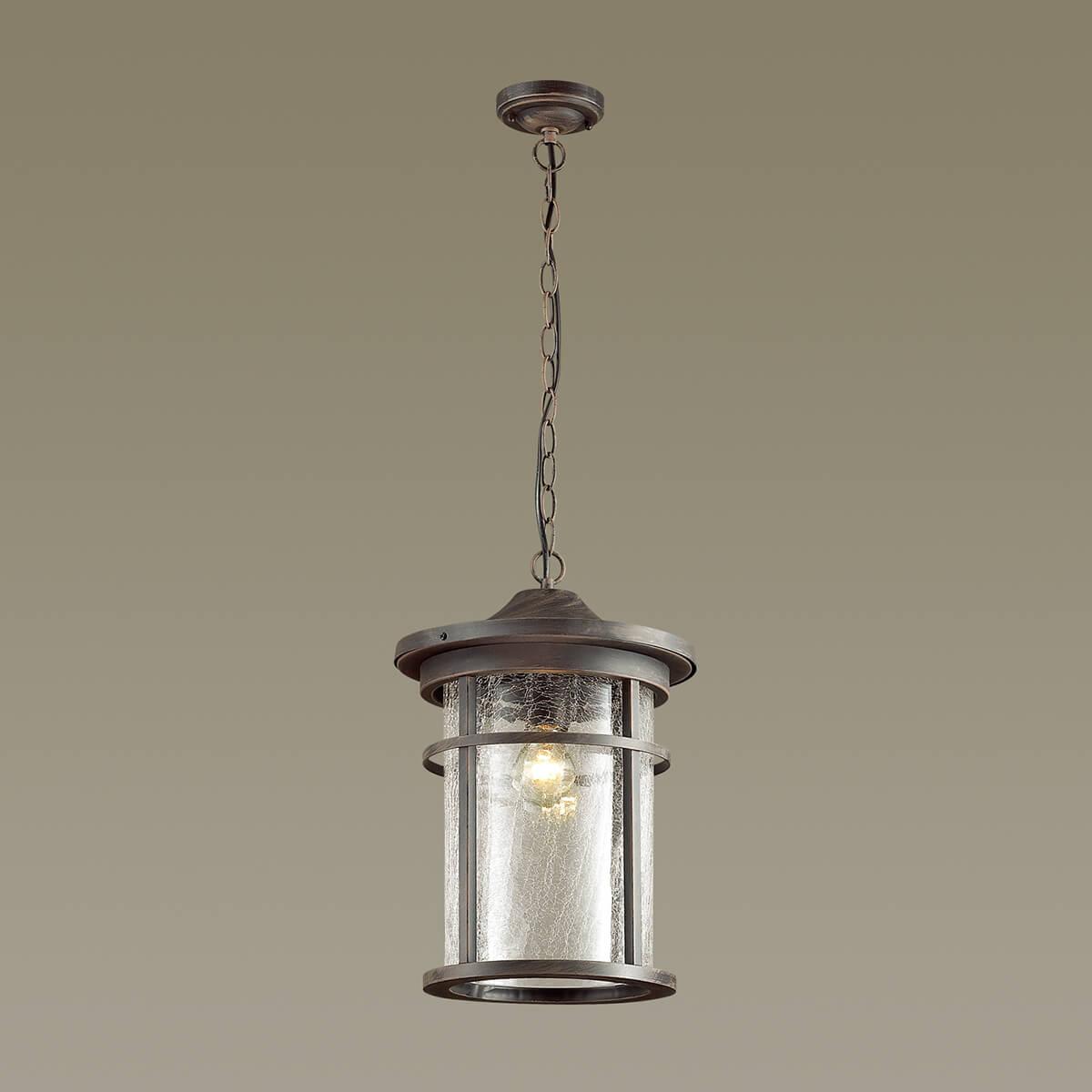 картинка Уличный подвесной светильник Odeon Light Nature Virta 4044/1 от магазина pro-decor.kz