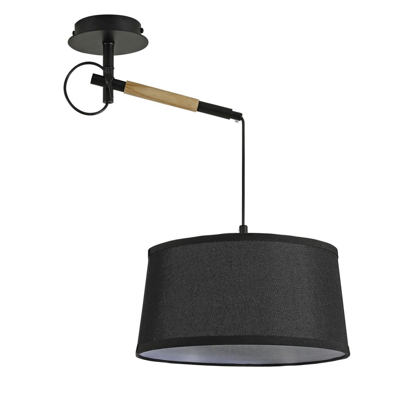 картинка Настенно-потолочный светильник Eureka 3006-1P от магазина pro-decor.kz