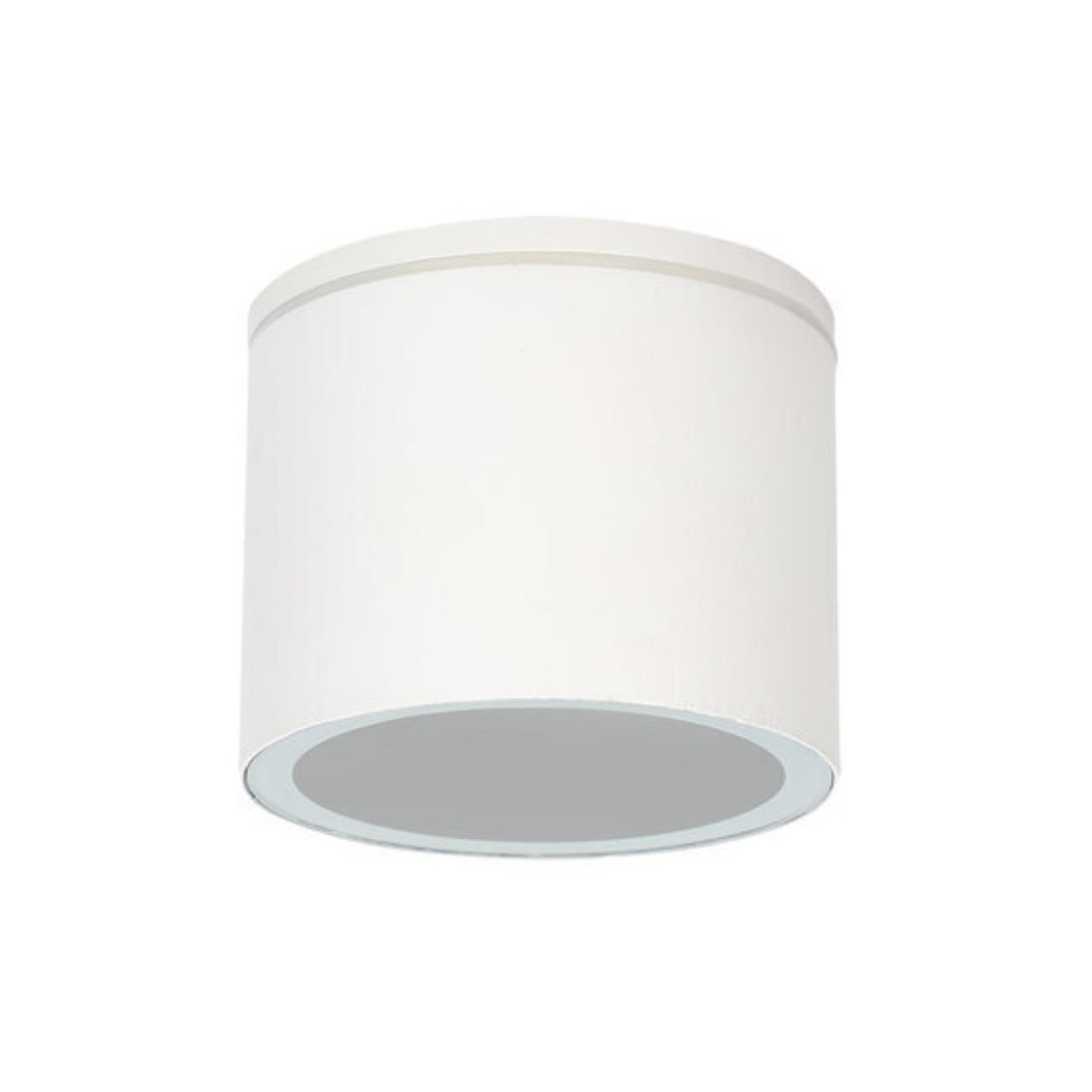 картинка Уличный потолочный светильник Arte Lamp PIAUTOS A1913PF-1WH от магазина pro-decor.kz