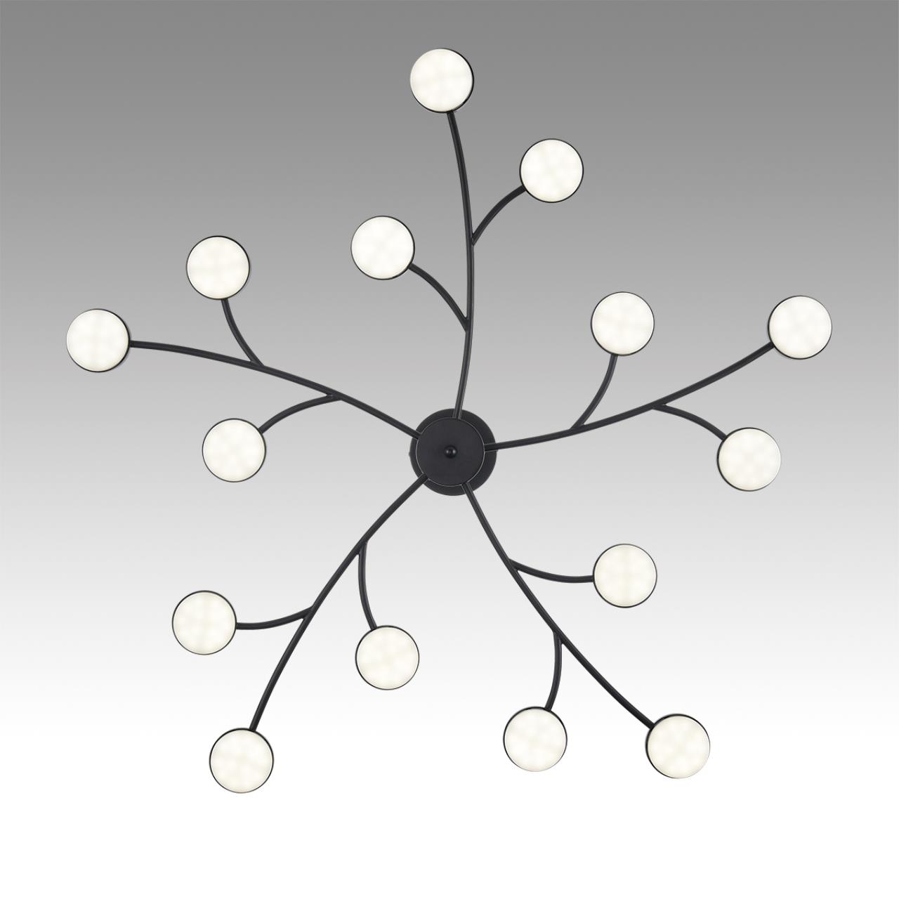 картинка 8117/15 Lumion Люстра LED TORINA от магазина pro-decor.kz