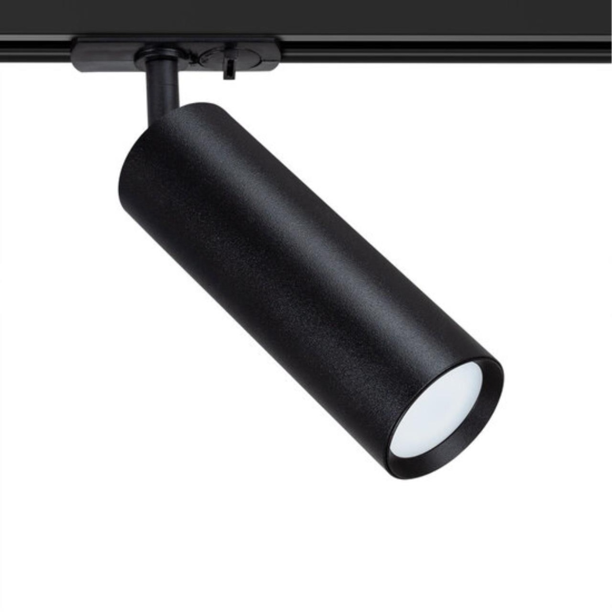 картинка Потолочный светильник Arte Lamp BEID A1515PL-1BK от магазина pro-decor.kz