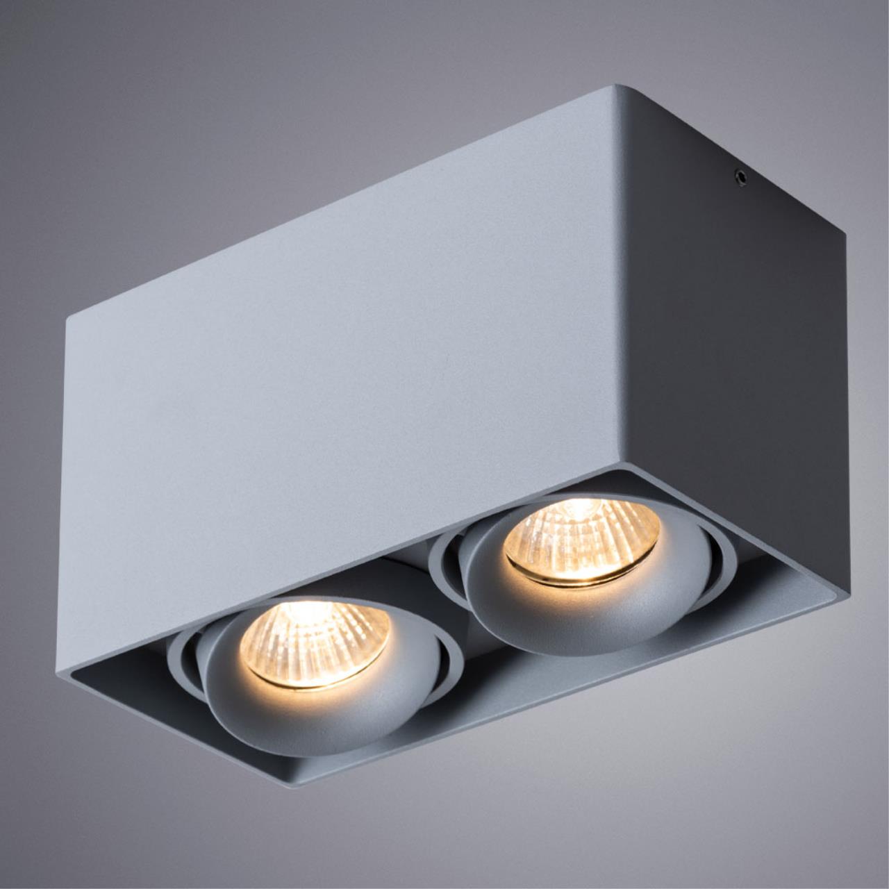 картинка Потолочный светильник Arte Lamp Pictor A5654PL-2GY от магазина pro-decor.kz