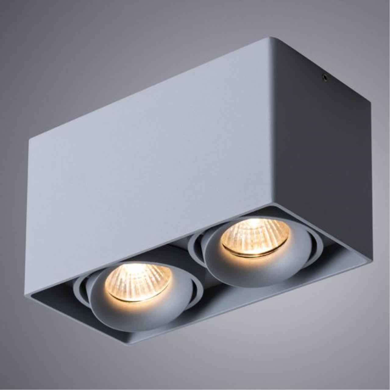 картинка Потолочный светильник Arte Lamp Pictor A5654PL-2GY от магазина pro-decor.kz