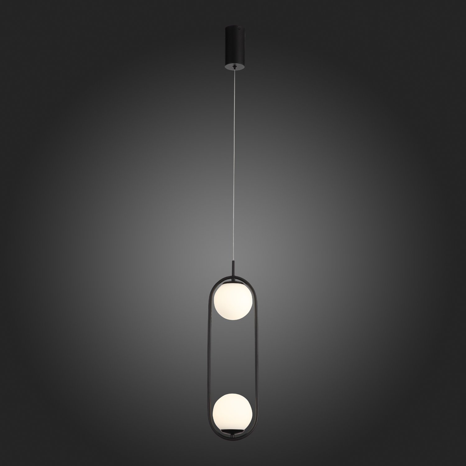 картинка Подвесной светодиодный светильник ST Luce SL395.403.02 магазин pro-decor.kz являющийся официальным дистрибьютором в Казахстане картинка Подвесной светодиодный светильник ST Luce SL395.403.02 от магазина pro-decor.kz