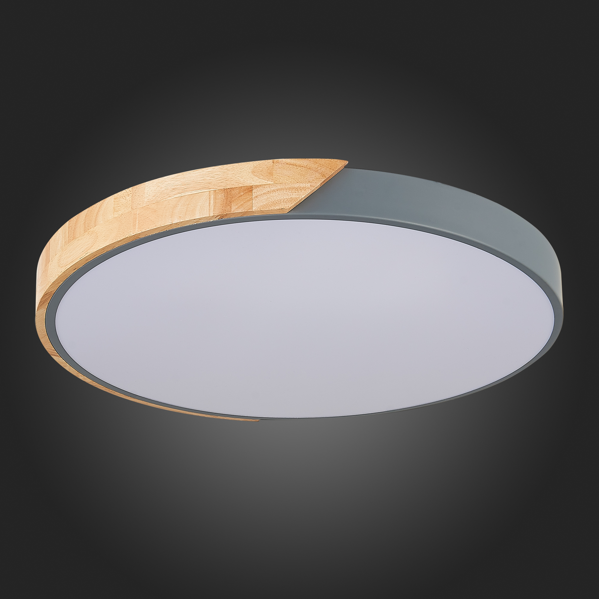 картинка Потолочный светодиодный светильник Evoluce Festa SLE200972-01 от магазина pro-decor.kz