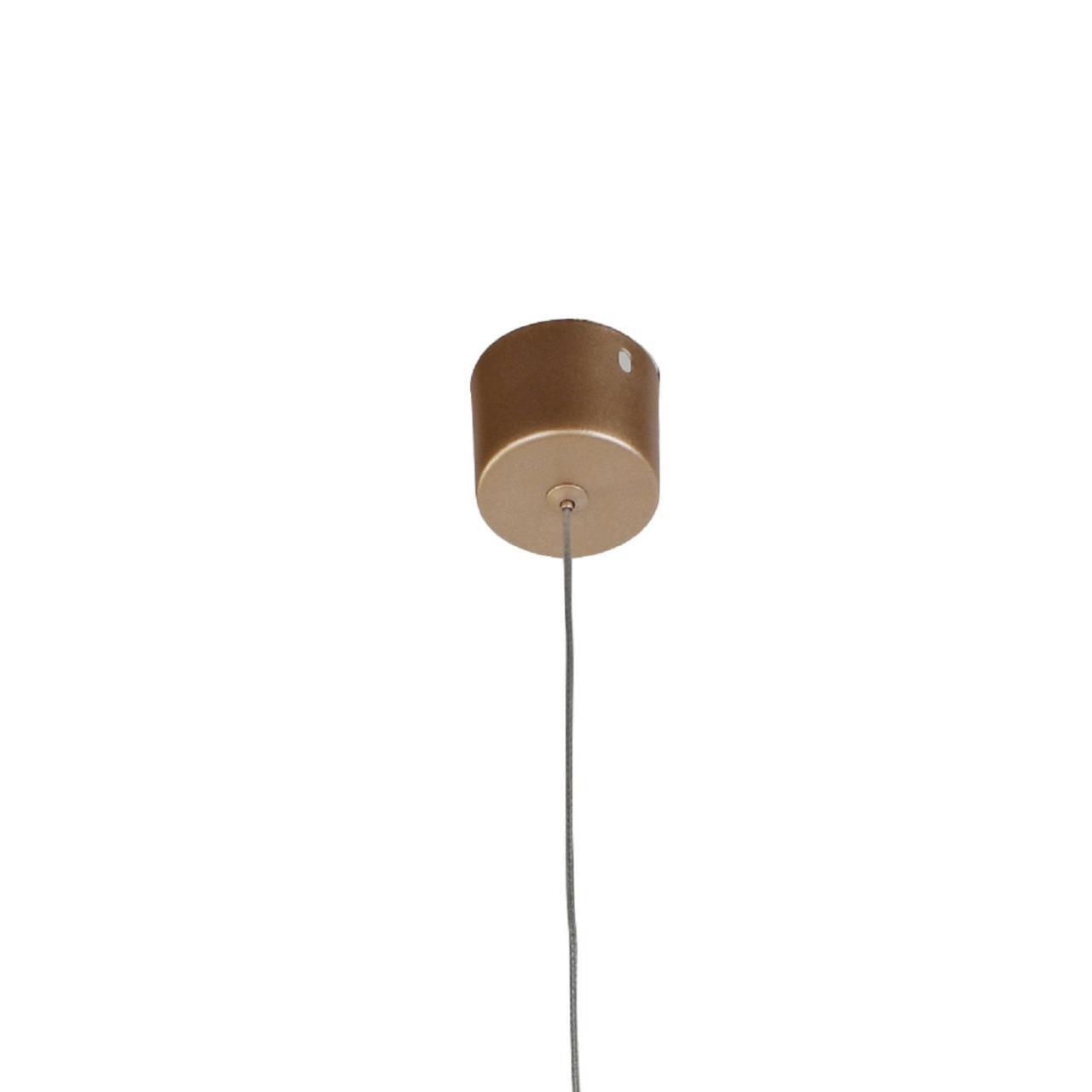 картинка Подвесной светодиодный светильник Favourite Somnium 2236-1P от магазина pro-decor.kz