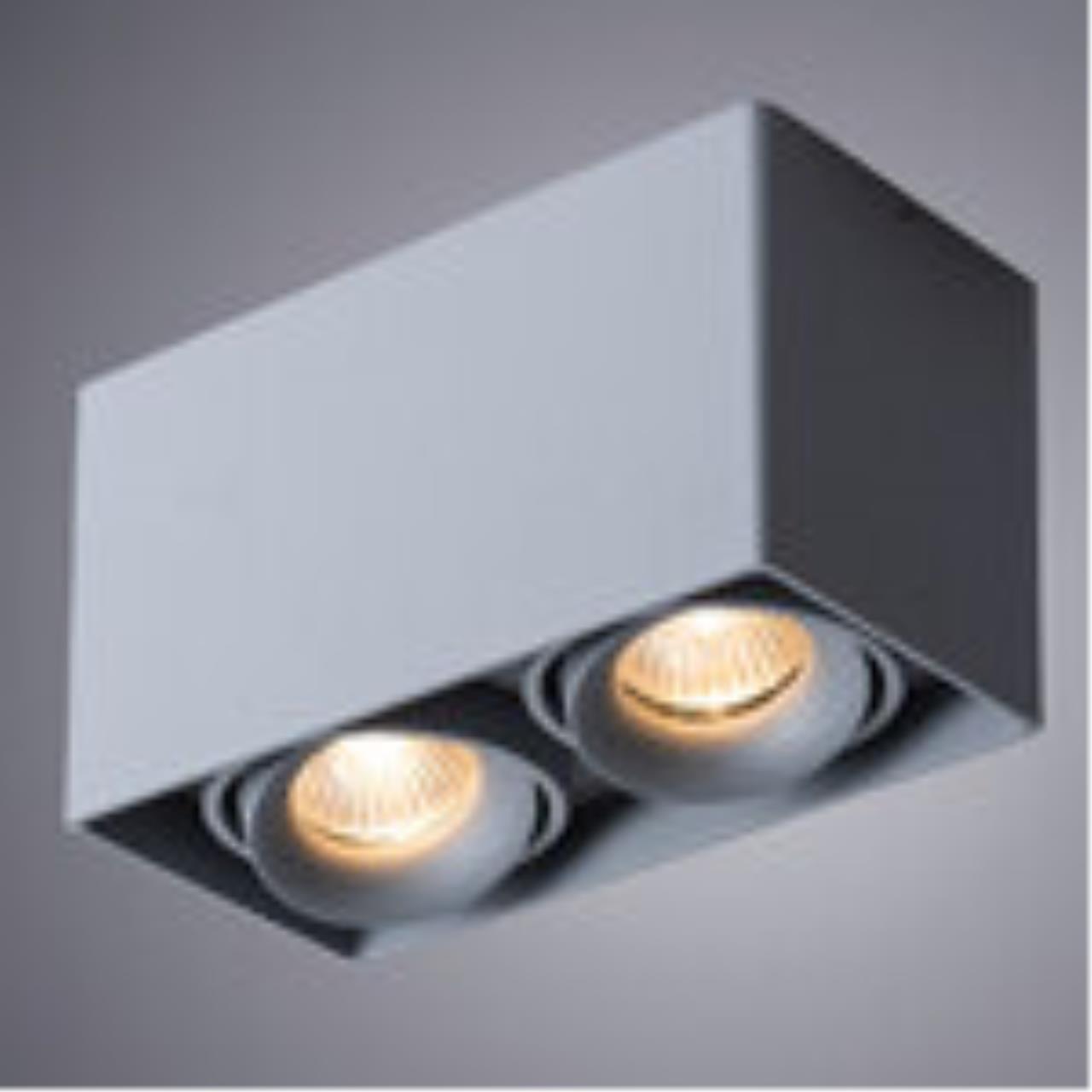 картинка Потолочный светильник Arte Lamp Pictor A5654PL-2GY от магазина pro-decor.kz