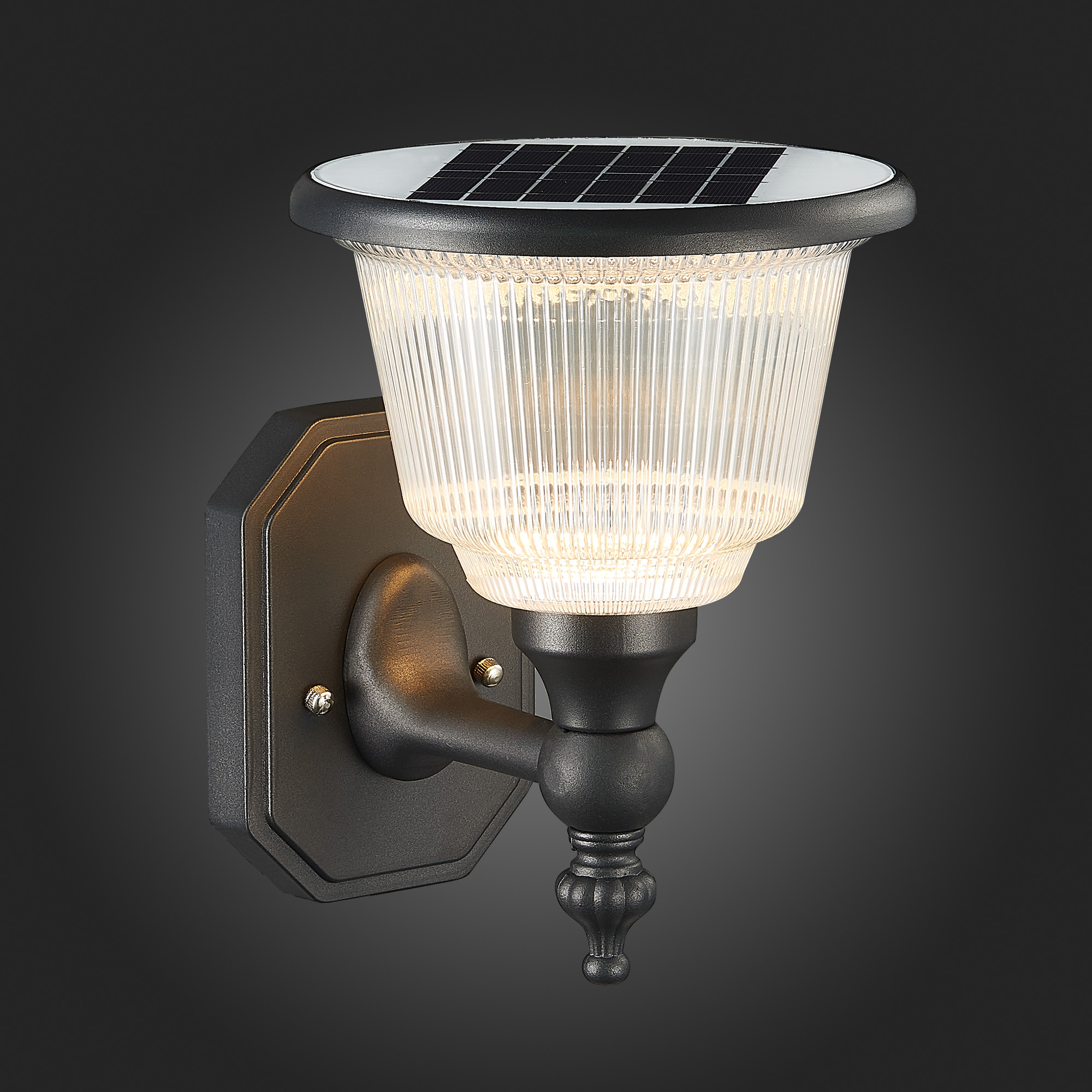 картинка Светильник на солнечных батареях ST Luce Solaris SL9502.401.01 от магазина pro-decor.kz
