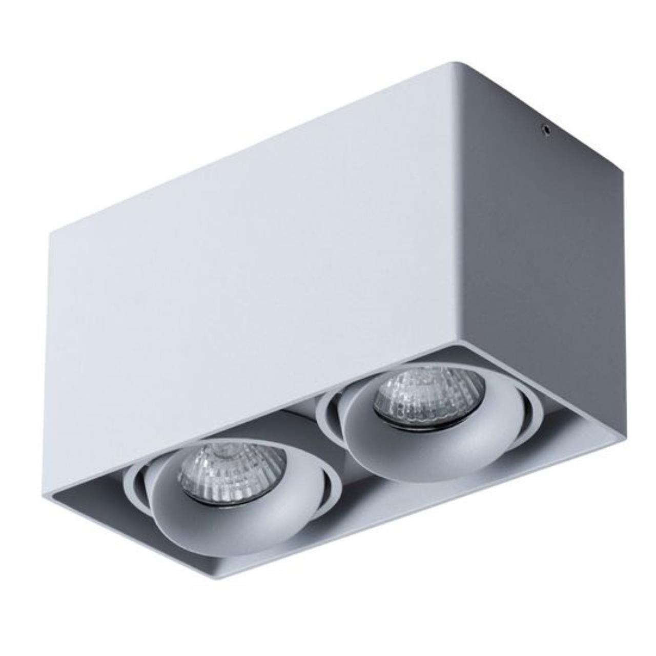 картинка Потолочный светильник Arte Lamp Pictor A5654PL-2GY от магазина pro-decor.kz