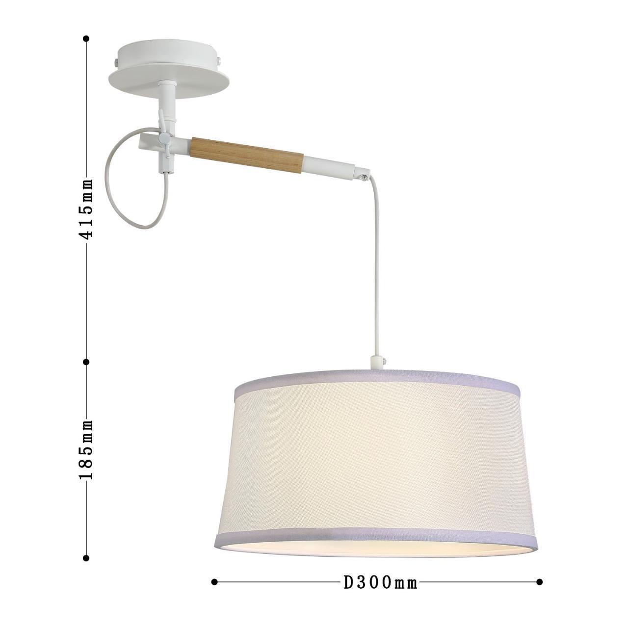 картинка Настенно-потолочный светильник Eureka 3005-1P от магазина pro-decor.kz