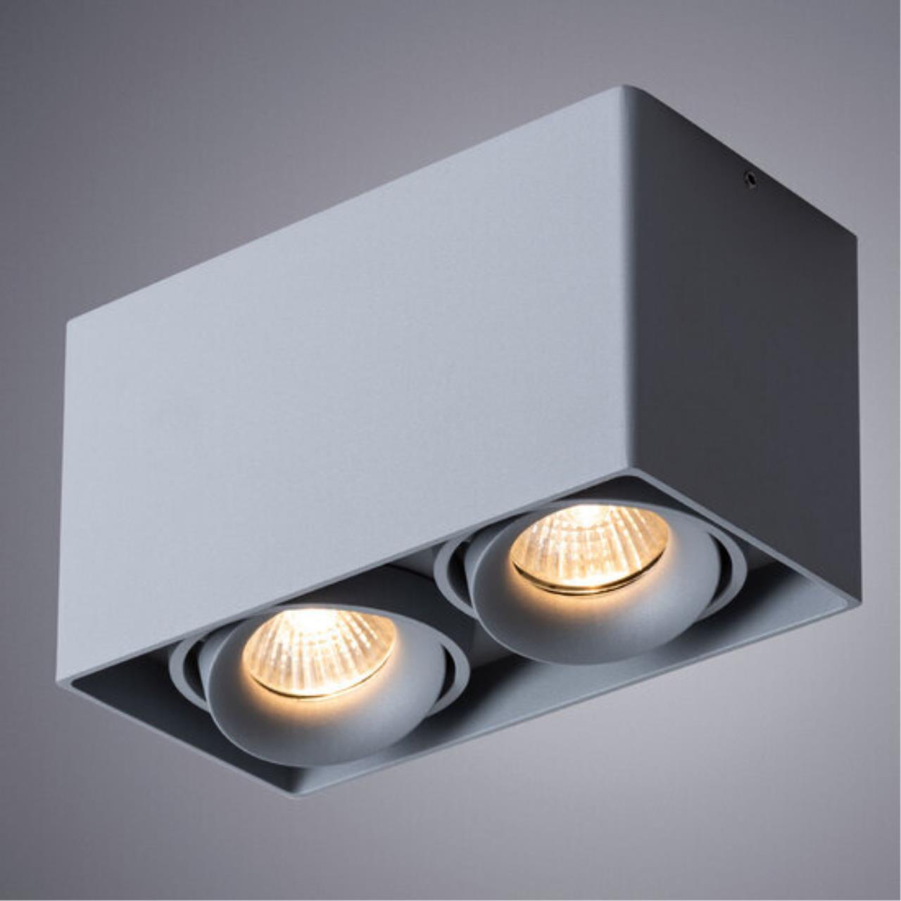 картинка Потолочный светильник Arte Lamp Pictor A5654PL-2GY от магазина pro-decor.kz