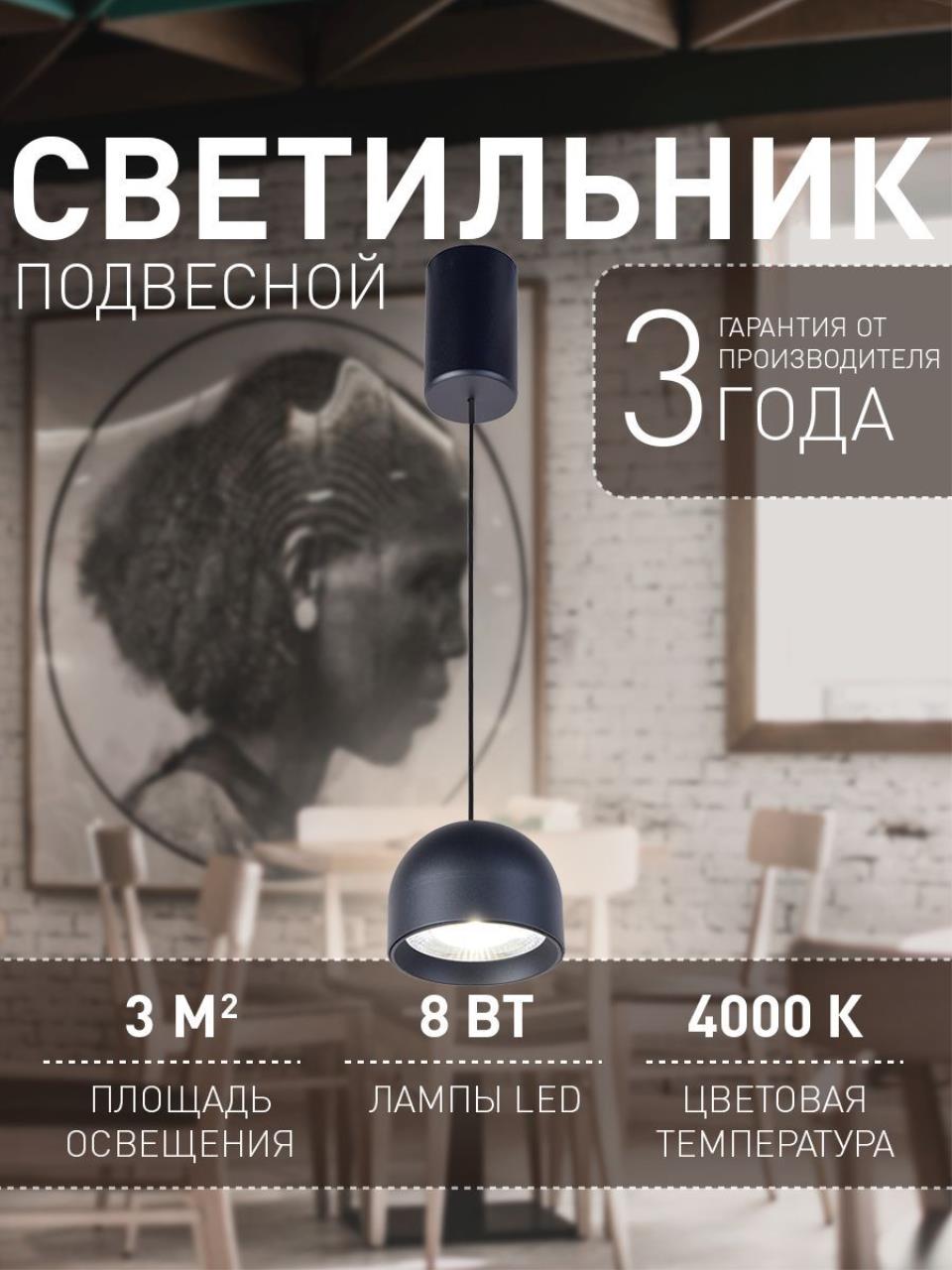 картинка Подвесной светильник Astern 4510-1P от магазина pro-decor.kz