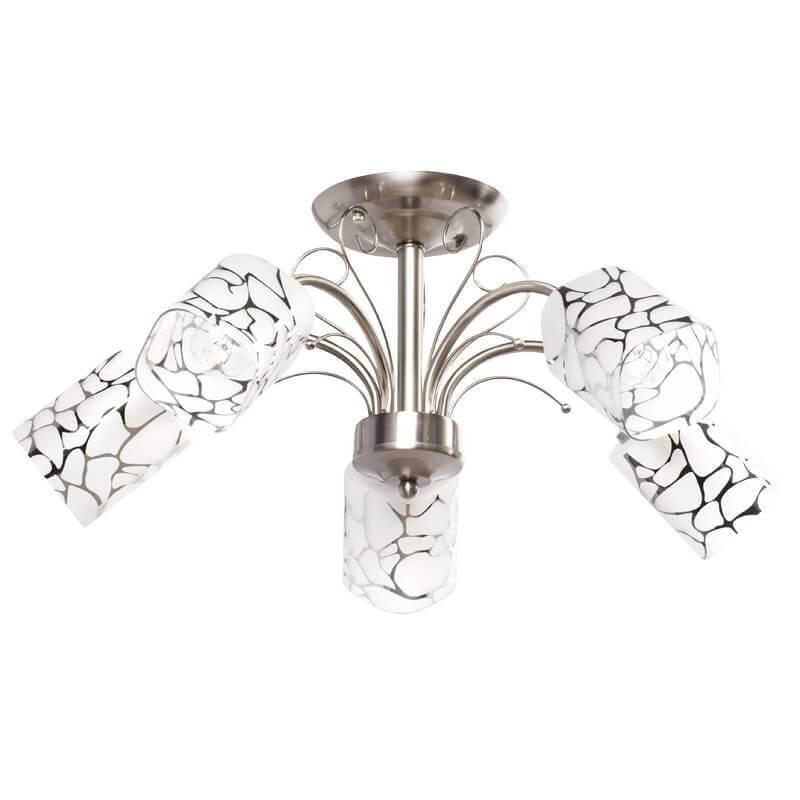 картинка Потолочная люстра MW-Light Олимпия 261019505 от магазина pro-decor.kz