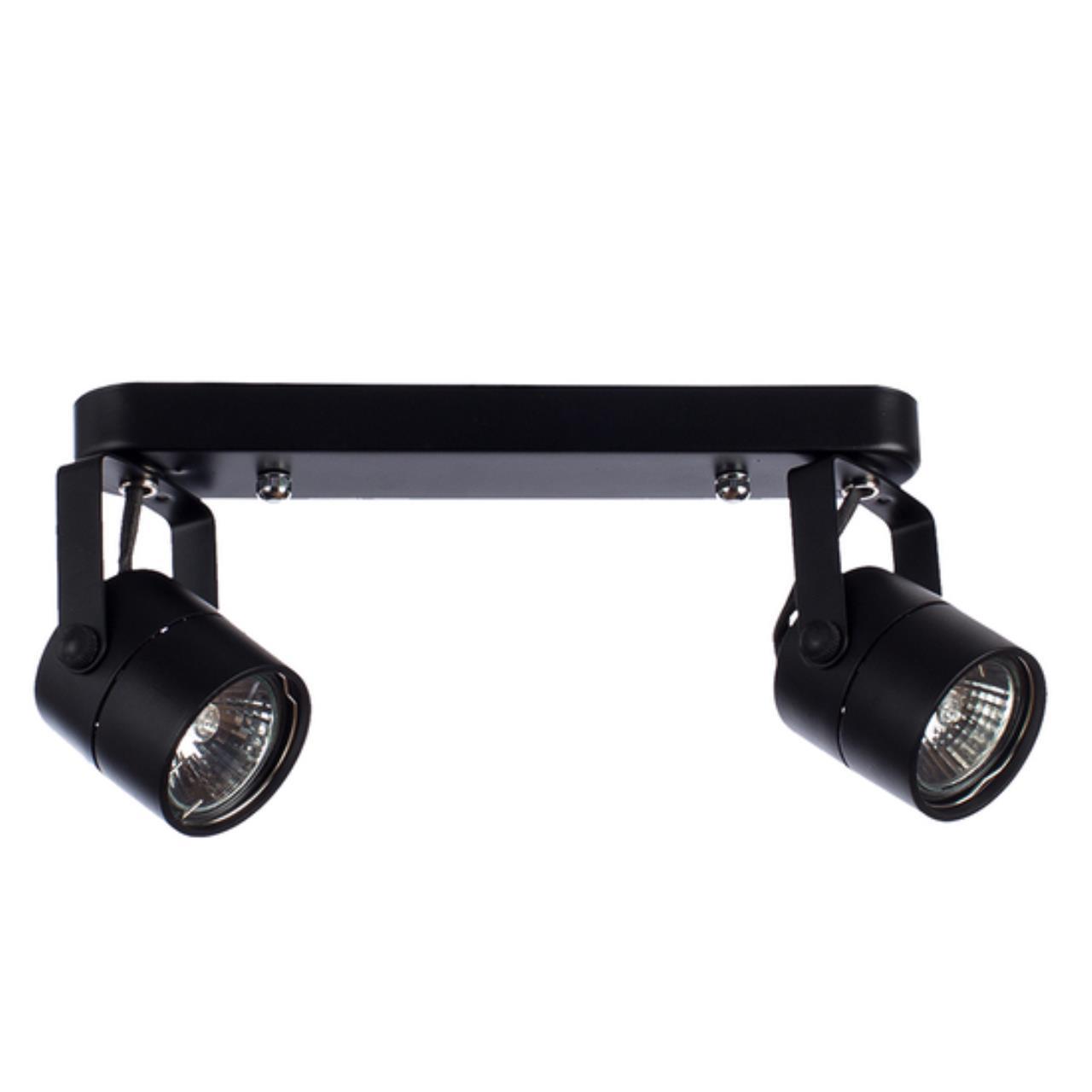 картинка Потолочный светильник Arte Lamp MIZAR A1311PL-2BK от магазина pro-decor.kz