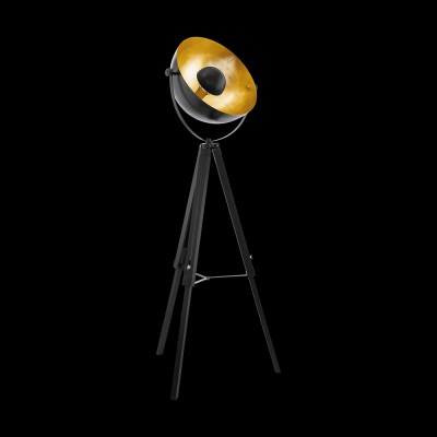 картинка Торшер Eglo Covaleda 49618 от магазина pro-decor.kz