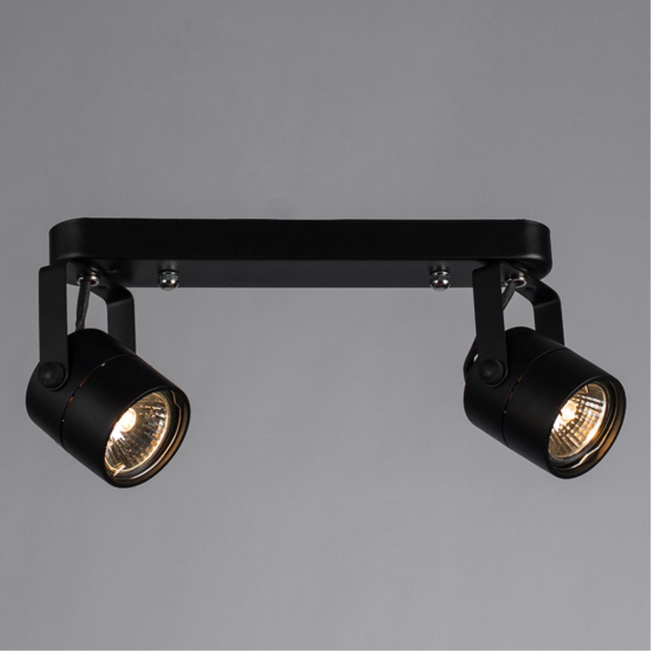 картинка Потолочный светильник Arte Lamp MIZAR A1311PL-2BK от магазина pro-decor.kz