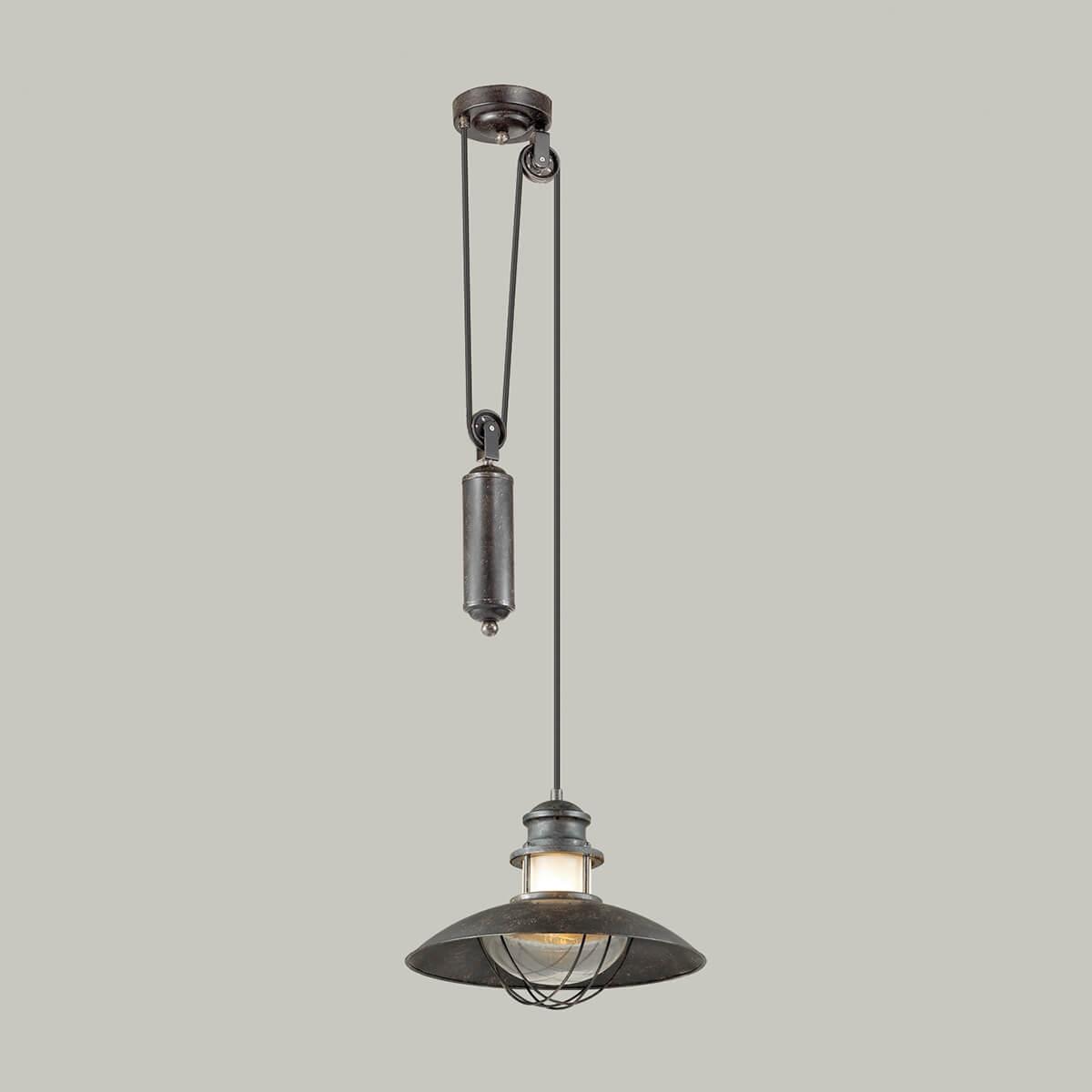 картинка Уличный подвесной светильник Odeon Light Nature Dante 4164/1A от магазина pro-decor.kz