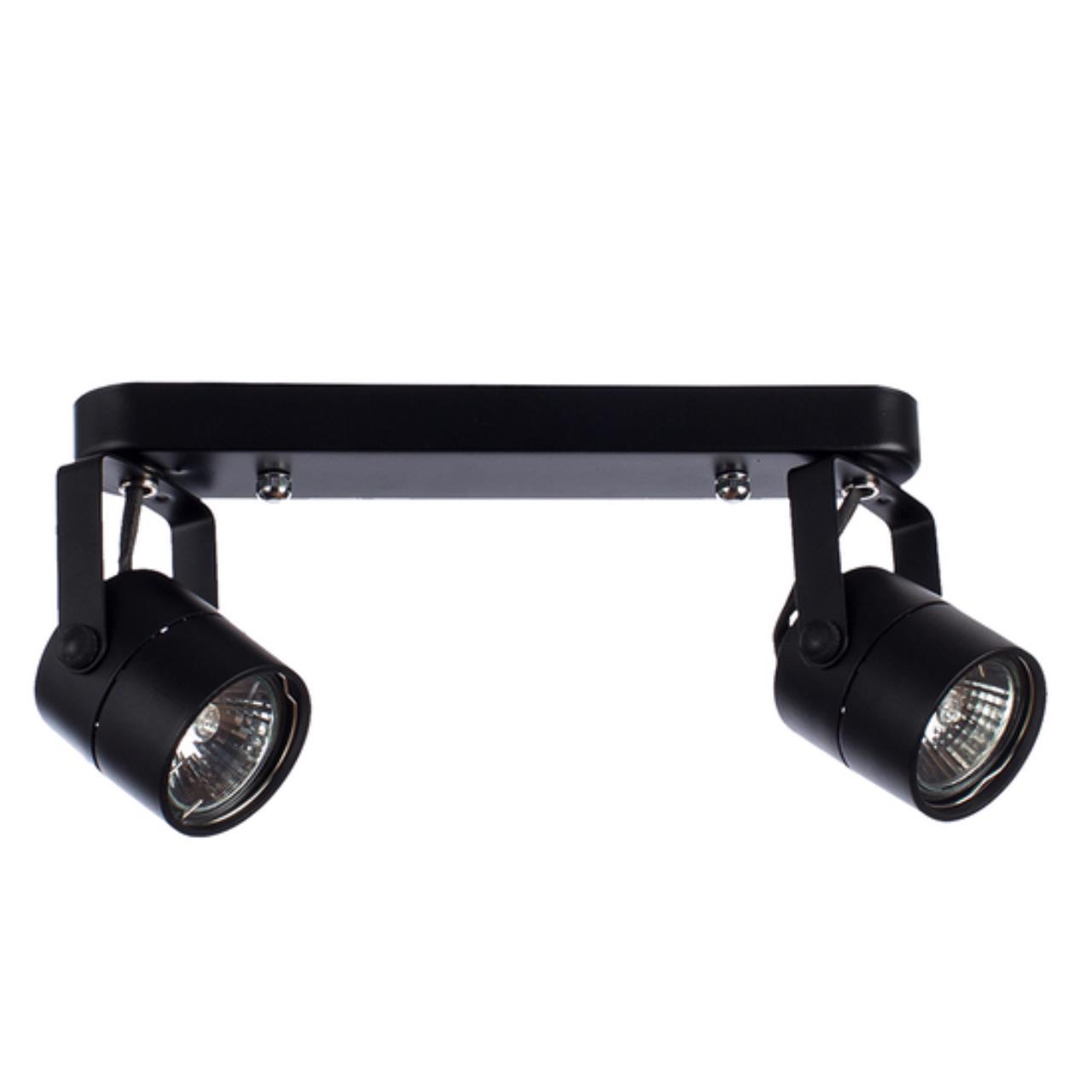 картинка Потолочный светильник Arte Lamp MIZAR A1311PL-2BK от магазина pro-decor.kz